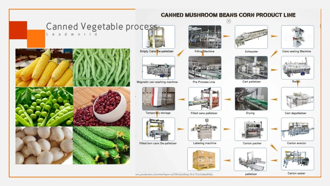Fruit and Vegetable Canned Production Line Wool Dan Can
